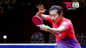 Cá Cược Bóng Bàn Tx88