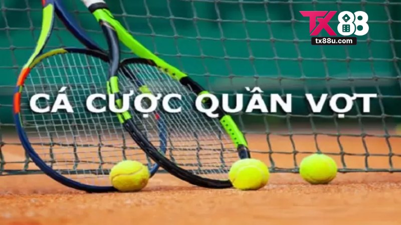 Cá Cược Tennis Tx88