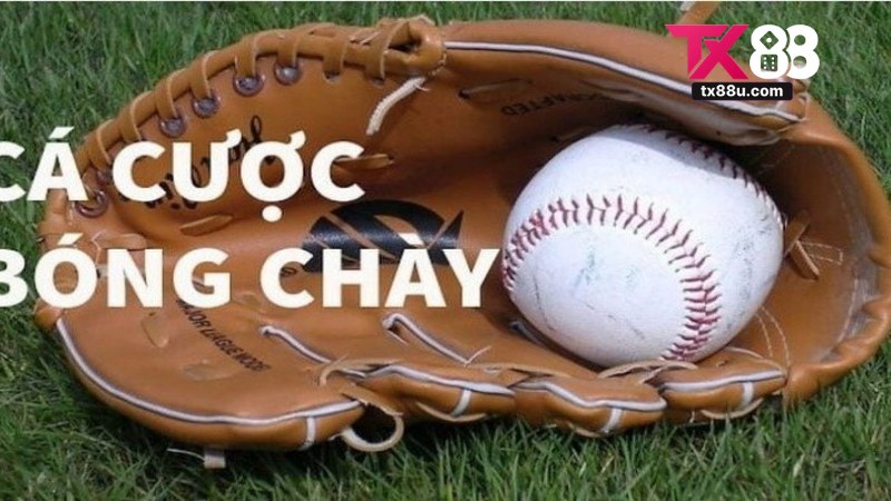 Cá Cược Bóng Chày Tx88: Hướng Dẫn Thực Tế 2 Cá Cược Bóng Chày Tx88